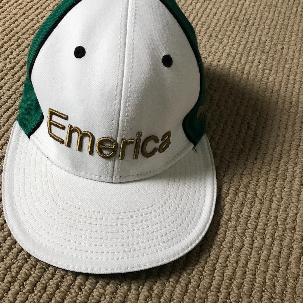Emerica Hat